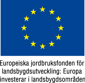 EU-flagga+Europeiska+jordbruksfonden+färg